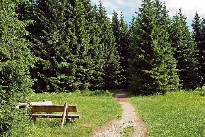 Urlaub in Deutschland - im Harz
